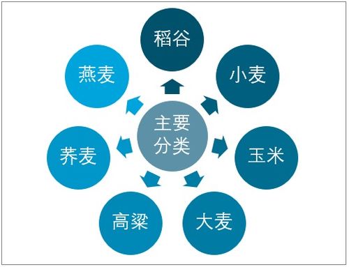 2021 2027年中國谷物行業(yè)市場經(jīng)營管理及投資前景預(yù)測報告