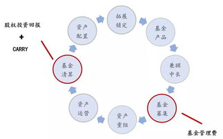 深度解析開發(fā)商背景地產(chǎn)基金組織與業(yè)務(wù)協(xié)同丨新金融