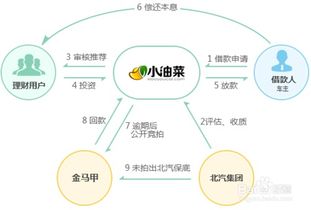 小油菜 理財(cái)產(chǎn)品如何選擇適合自己的投資項(xiàng)目