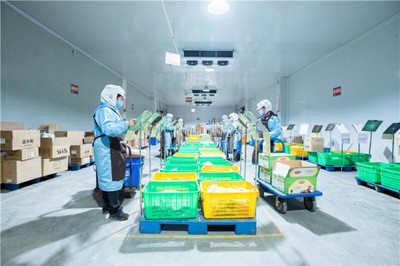 淳百味:傳承與創(chuàng)新并舉,邁入沙縣小吃新征程