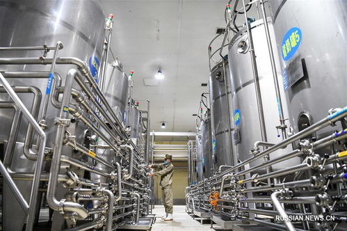 производство молочных продуктов провинции хэйлунцзян