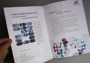 咨詢公司畫(huà)冊(cè)設(shè)計(jì) 圖片清晰的商務(wù)咨詢畫(huà)冊(cè)設(shè)計(jì) 投資管理畫(huà)冊(cè)設(shè)計(jì) 公司樣本設(shè)計(jì) 企業(yè)畫(huà)冊(cè)設(shè)計(jì)